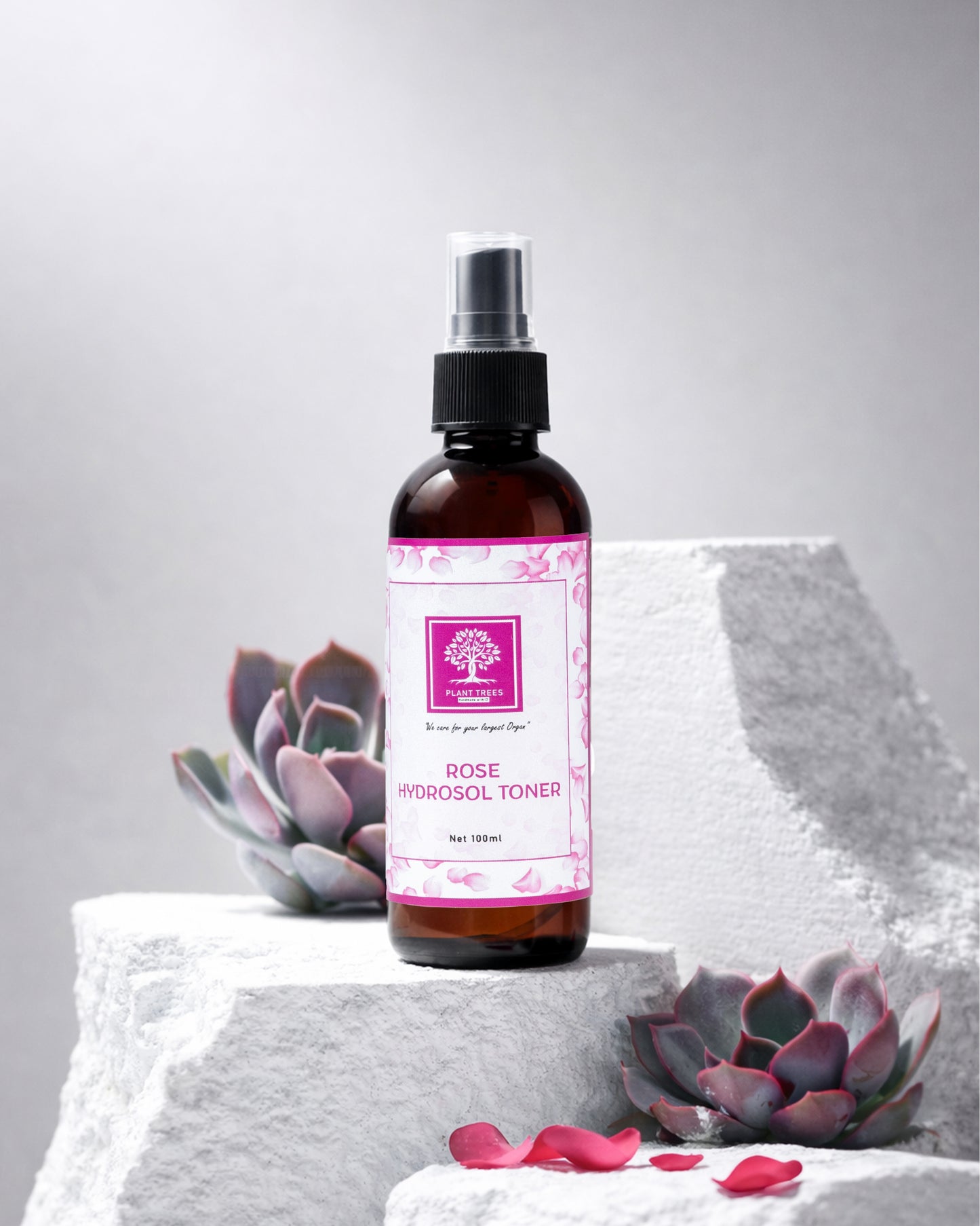 ROSE HYDROSAL 100ML