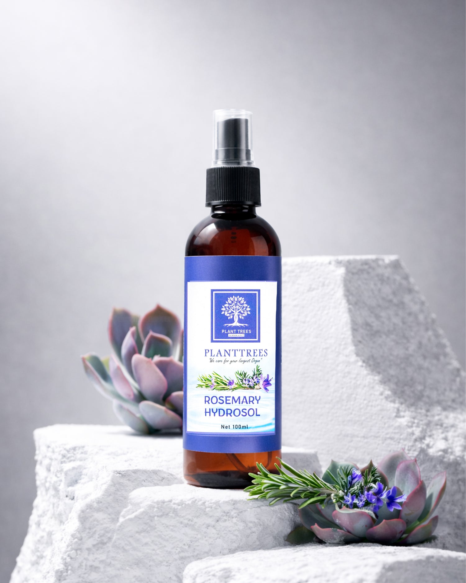 Hair Care Products